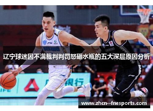 辽宁球迷因不满裁判判罚怒砸水瓶的五大深层原因分析