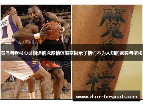 魔鸟与老马心灵相通的深厚情谊解密揭示了他们不为人知的默契与依赖 魔鸟与老马心灵相通的深厚情谊解密揭示了他们不为人知的默契与依赖