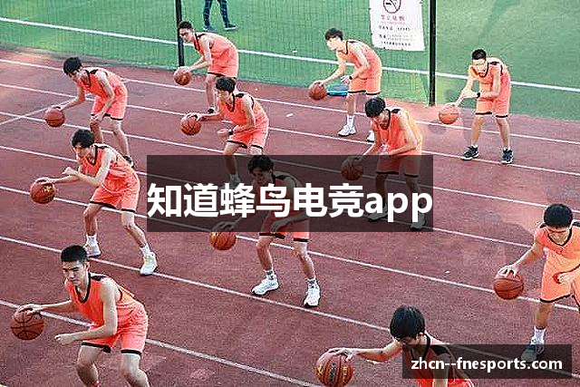 知道蜂鸟电竞app